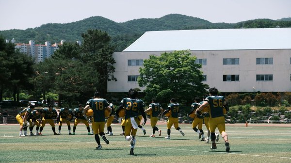 Die besten Elektro-Lieferwagen für kleine Unternehmen